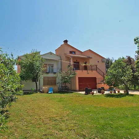 Apartament Olea Phasiana